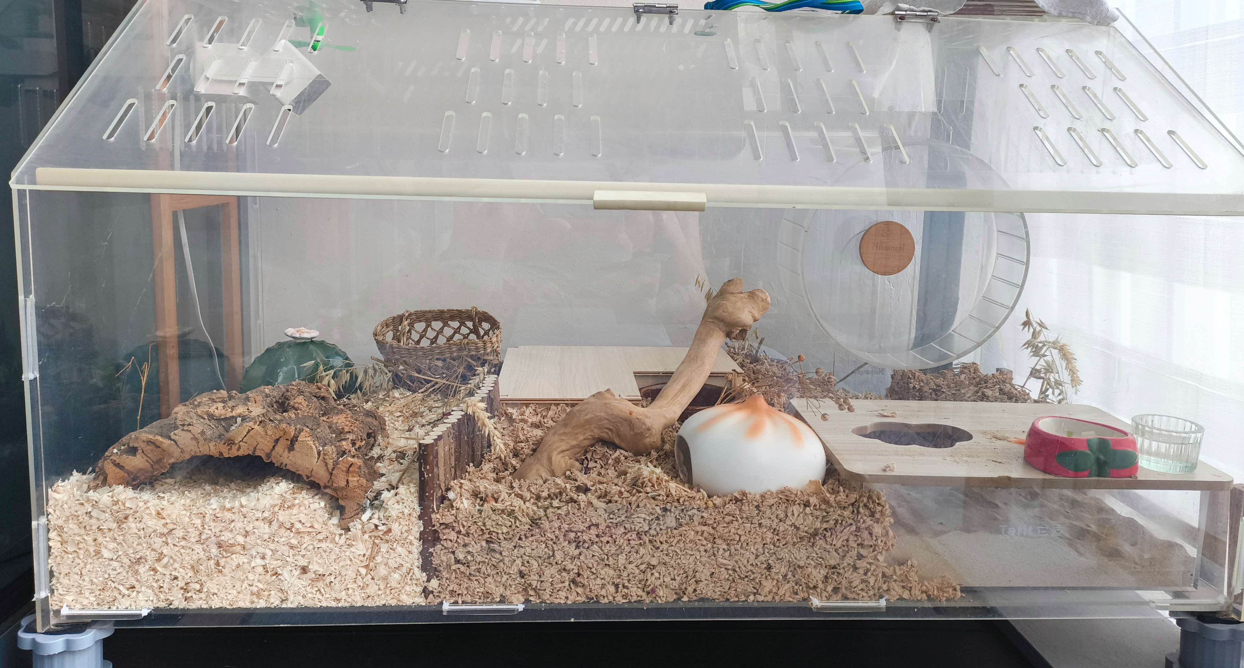 A photograph of a large acrylic hamster cage set-up